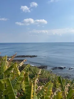 車ですぐのところに海もあります!