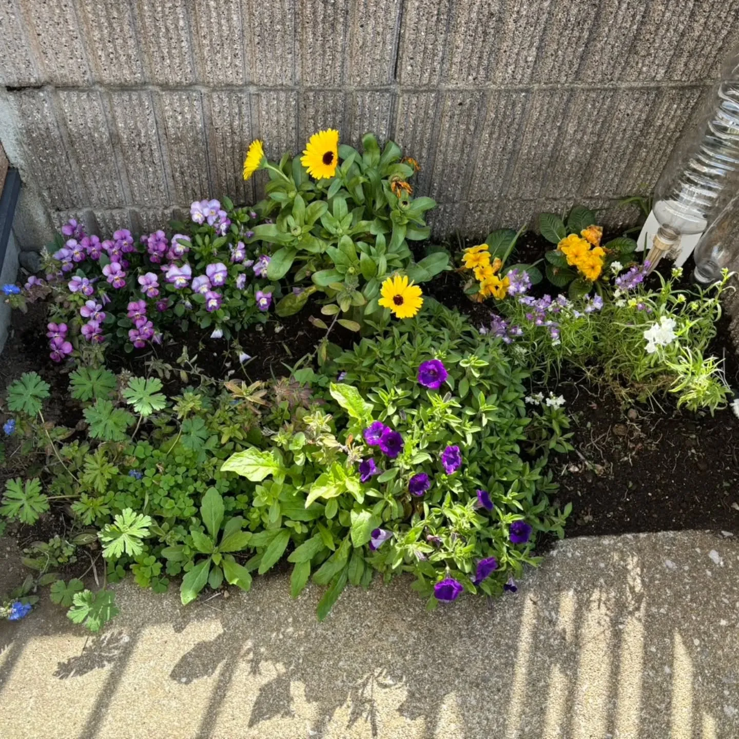 今日は、少し肌寒い😅