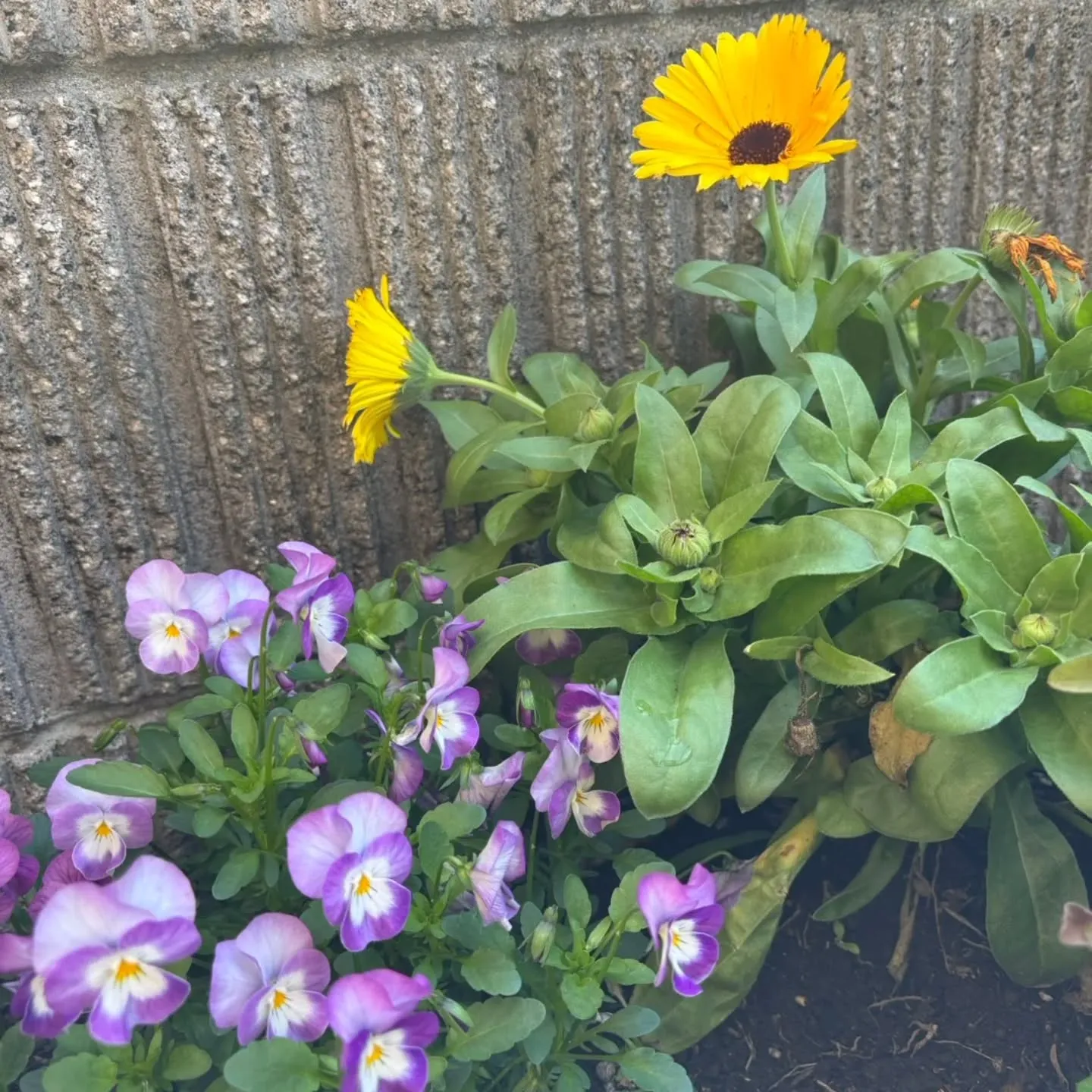 今日は、少し肌寒い😅