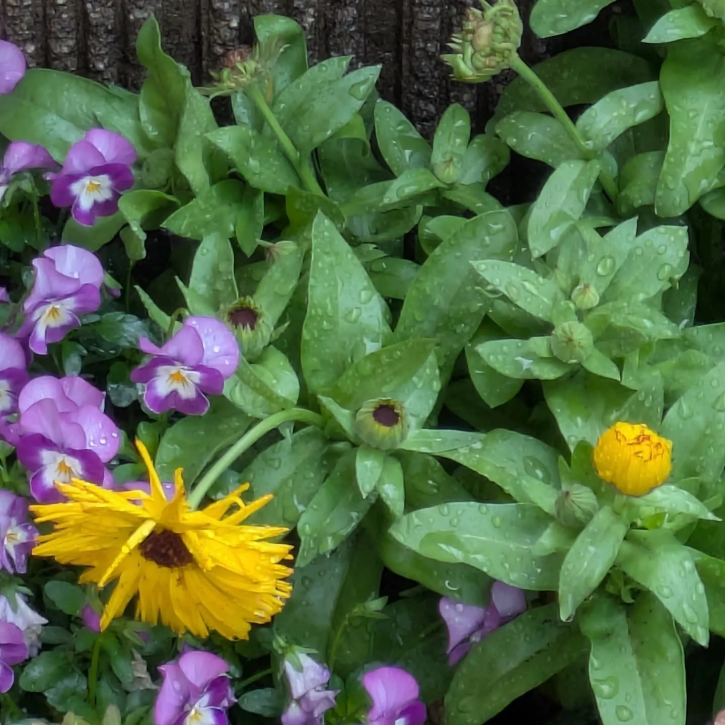 今週は、お天気が変化しますね