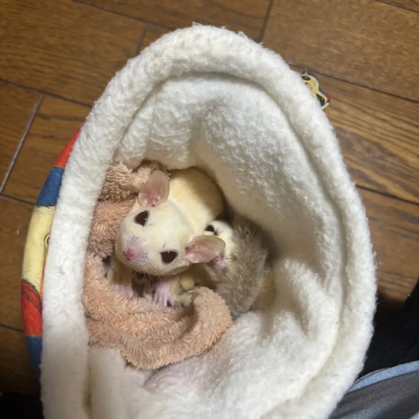 サロンお休みいただき