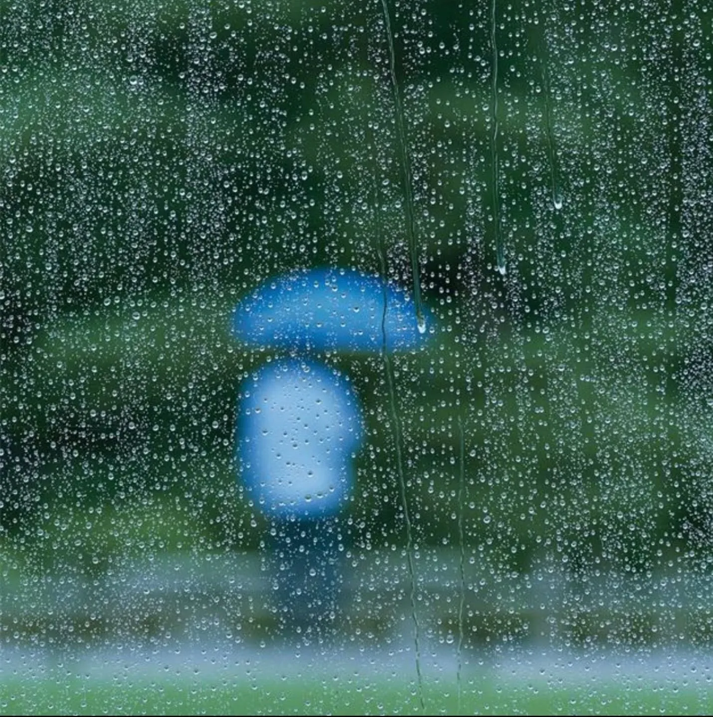 日曜日の朝も雨☂️