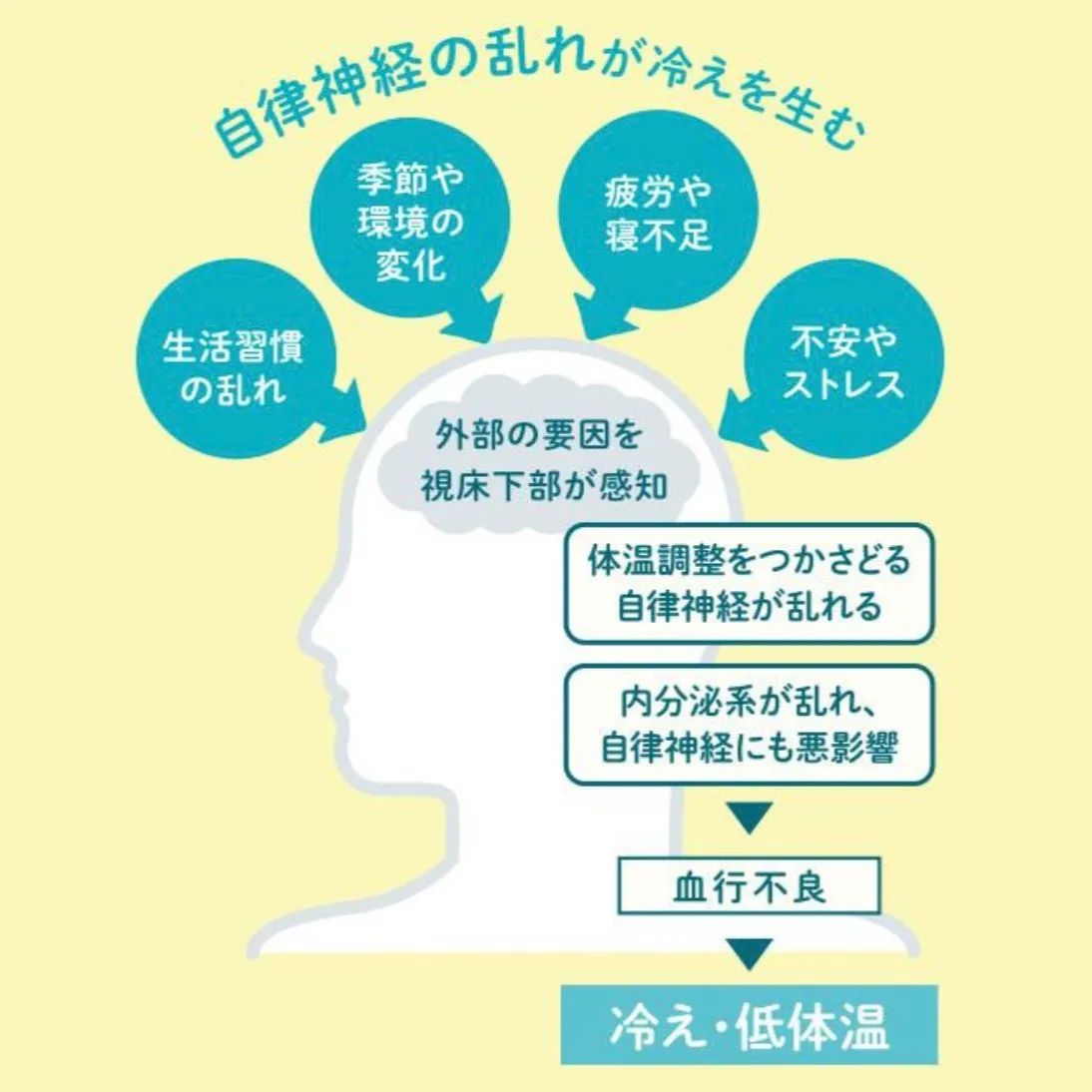 冷え性は、末端の血流が悪くなることで、手足が冷たくなり、全身...