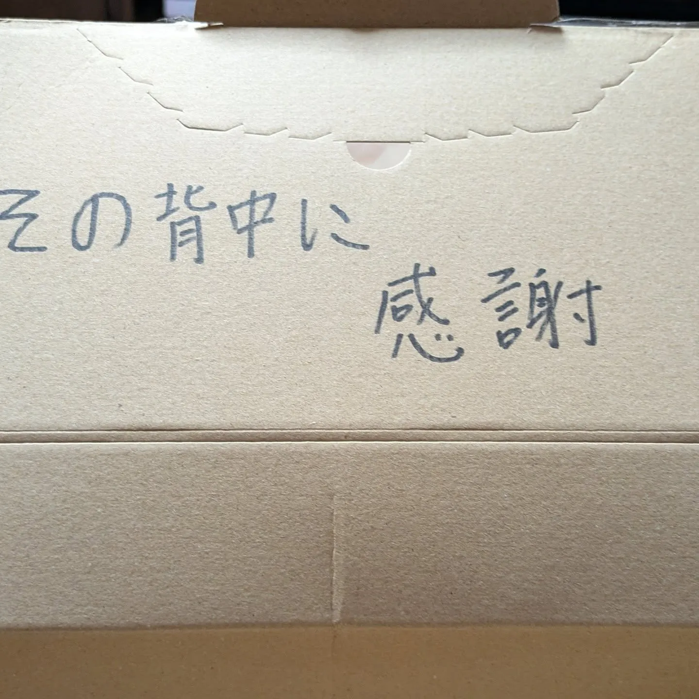 待ってましたぁ🤗