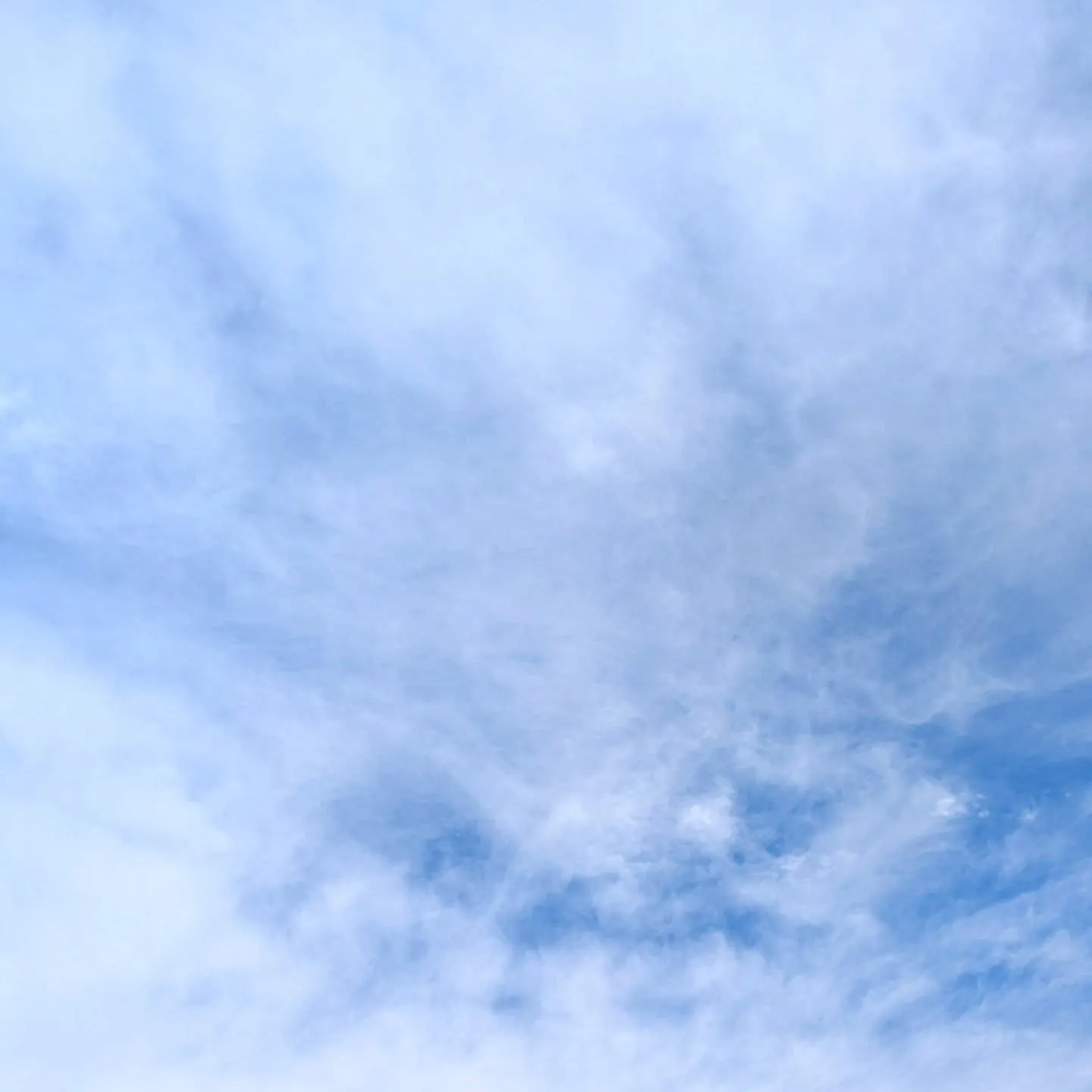 久しぶりのお天気
